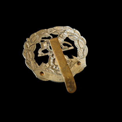 WW1 Hampshire Regiment Cap Badge – Genuine British Great War Insignia
