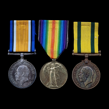Worcestershire Regiment KIA 1918 WW1 Territorial Force War Medal Plaque From Lye