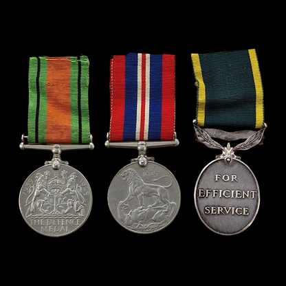 Royal Artillery WW2 British Medal Group Territorial Efficiency Isle of Wight