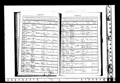 Mercantile Marine WW1 British Medal Pair TANNER Quartermaster & A.B. Edmonton