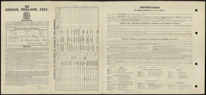 Mercantile Marine WW1 British Medal Pair William STEEN Cadet Ab. Seaman Wallasey