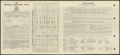 Mercantile Marine WW1 British Medal Pair SHEPHERD 3rd Engineer Wallsend
