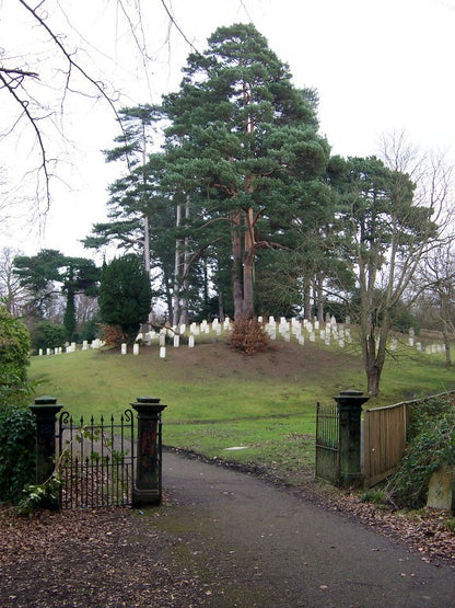 1st Canadian Expeditionary Force Died 1916 CEF WW1 1914-15 Star Medal Home Child