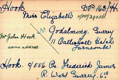 Queen's Royal West Surrey Regiment - Died of Wounds 1918 - WW1 Medal Trio & Memorial Plaque - From Godalming, Surrey