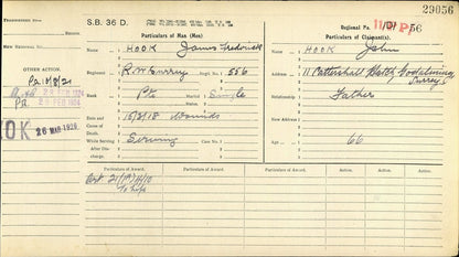 Queen's Royal West Surrey Regiment - Died of Wounds 1918 - WW1 Medal Trio & Memorial Plaque - From Godalming, Surrey