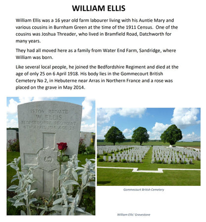 Bedfordshire Regiment KIA 1918 WW1 British Medal Trio Pte. Ellis from Hertfordshire