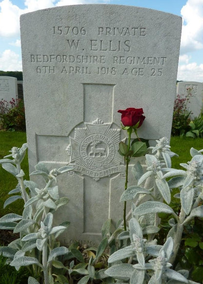Bedfordshire Regiment KIA 1918 WW1 British Medal Trio Pte. Ellis from Hertfordshire