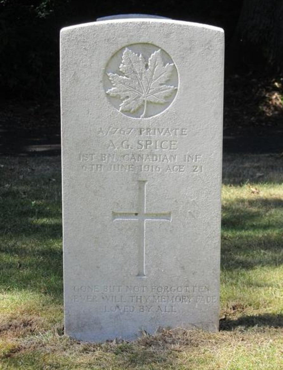 1st Canadian Expeditionary Force Died 1916 CEF WW1 1914-15 Star Medal Home Child