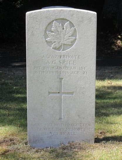 1st Canadian Expeditionary Force Died 1916 CEF WW1 1914-15 Star Medal Home Child