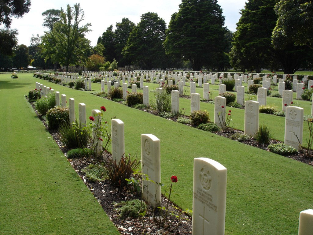 WW2 Australia Service Medal 1939–45 Died 1943 Army Medical Corps WW1 WIA 1917