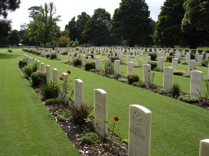 WW2 Australia Service Medal 1939–45 Died 1943 Army Medical Corps WW1 WIA 1917