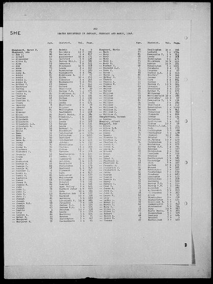 Mercantile Marine WW1 British Medal Pair SHEPHERD 3rd Engineer Wallsend