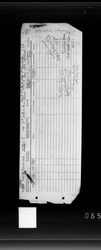 Scottish Horse Boer War WW1 Group Territorial Force War Medal Kingussie Camerons